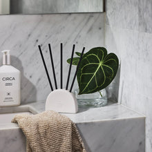 Load image into Gallery viewer, SCENT STEM DUO