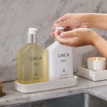 Load image into Gallery viewer, MANGO &amp; PAPAYA 450ML HAND WASH
