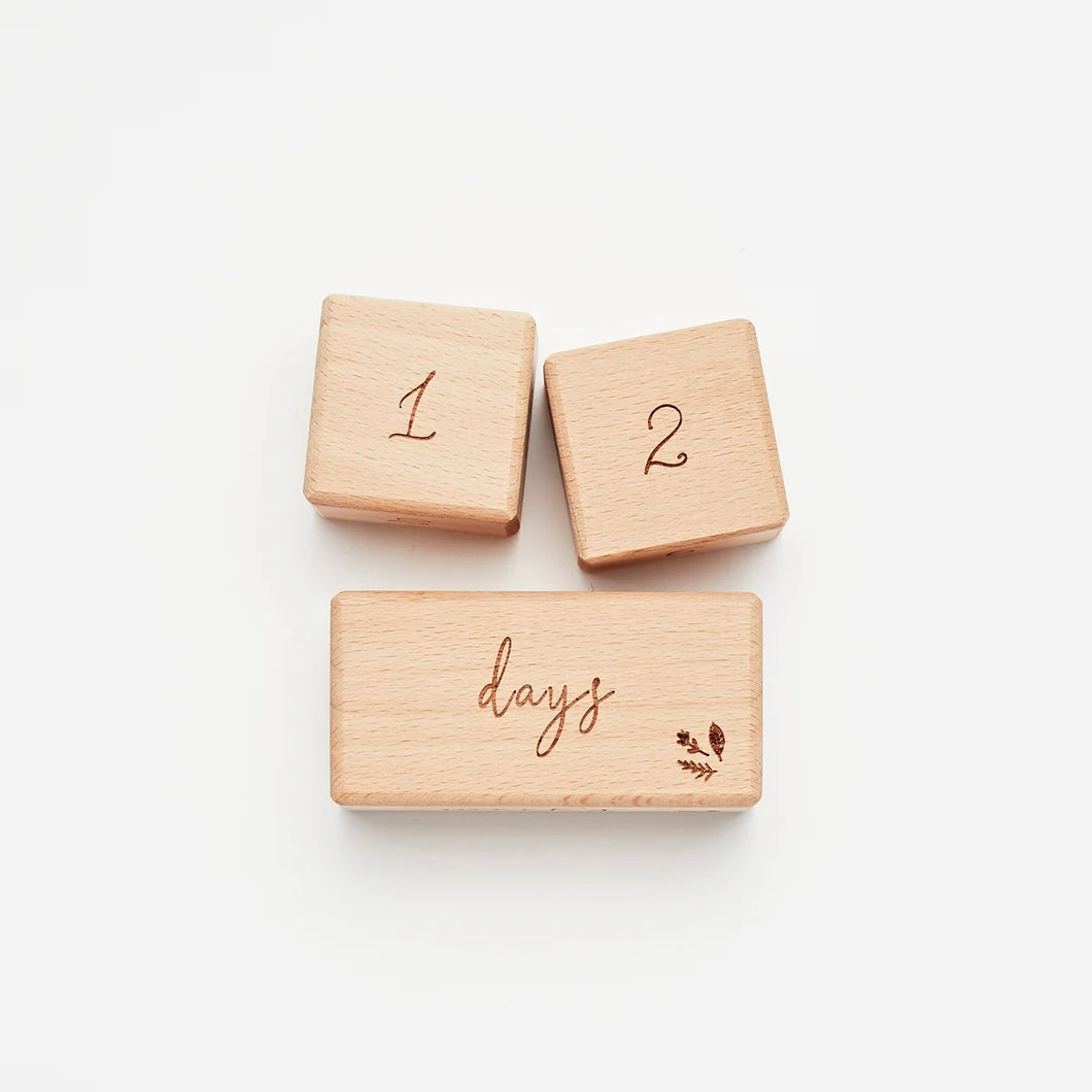 MILESTONE BLOCK SET