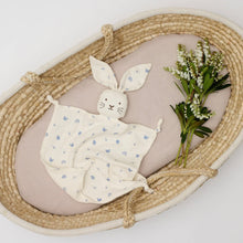 Load image into Gallery viewer, BUNNY LOVEY - ENCHANTED GARDEN
