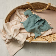 Load image into Gallery viewer, ORGANIC MUSLIN LOVEY - DINOSAUR
